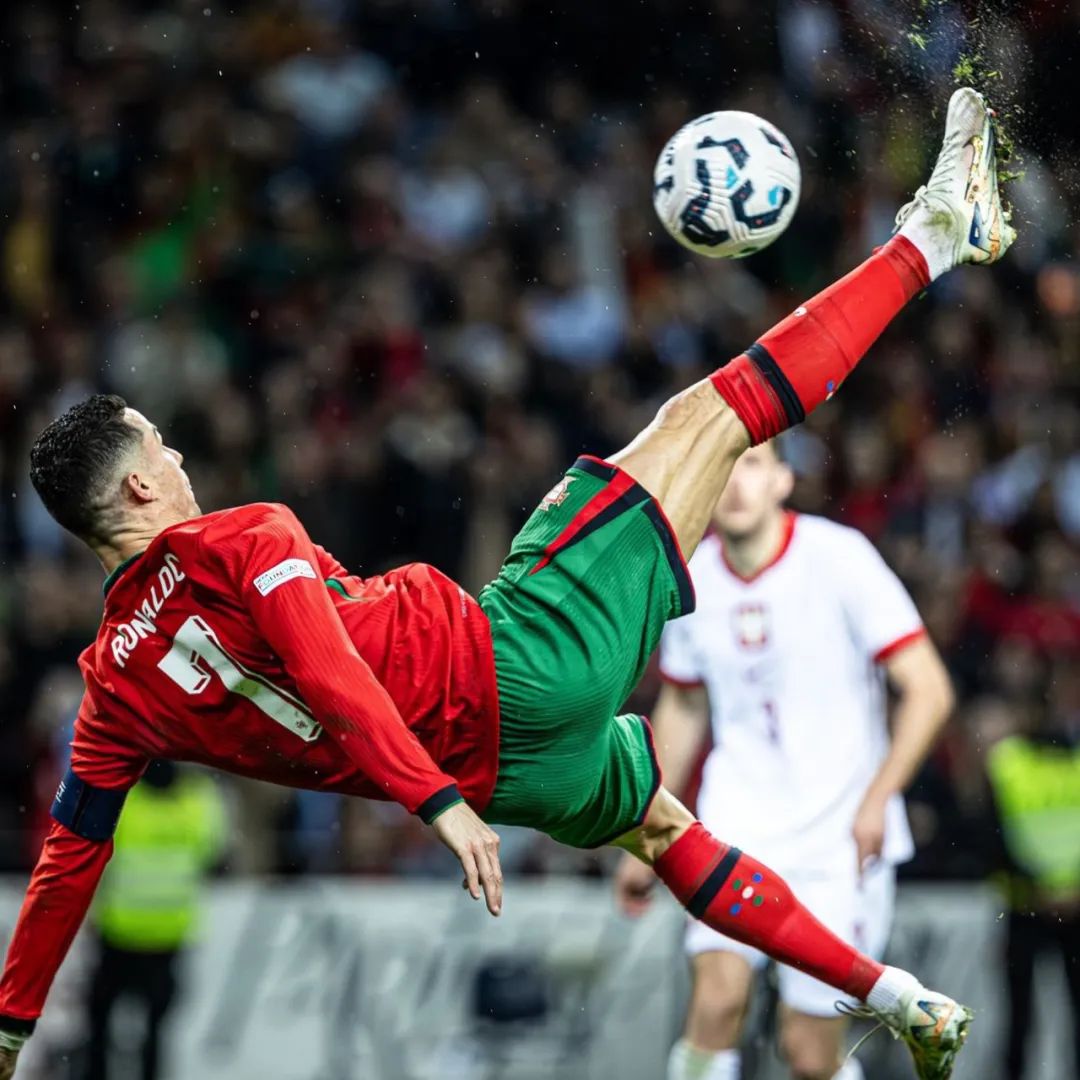 狼堡官方：前拜仁首席球探施维格勒出任俱乐部体育总监（狼堡官宣：前拜仁首席球探施维格勒出任体育总监）